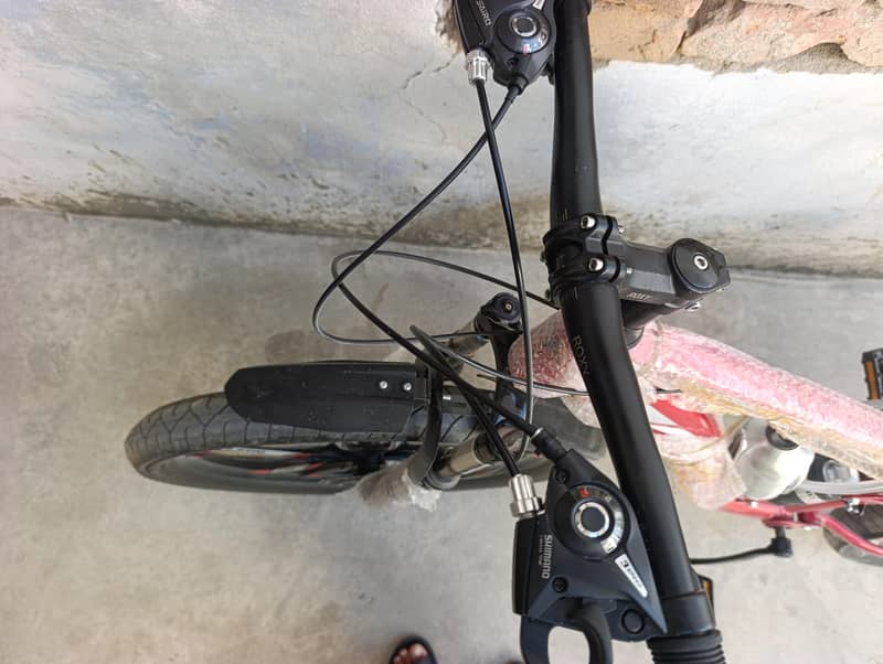 Roxy Bicycle 5