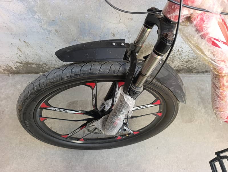 Roxy Bicycle 6