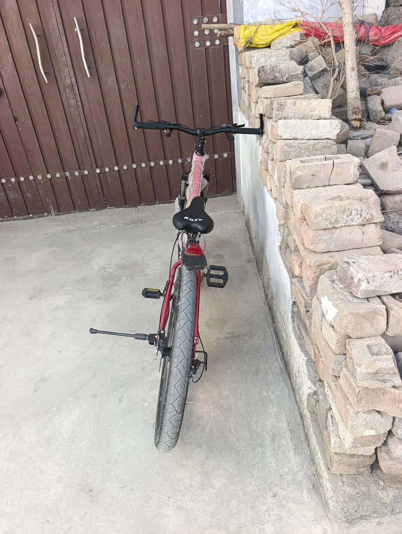 Roxy Bicycle 8