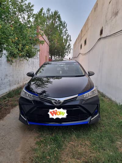 Corolla Xli Convert Gli 16/17