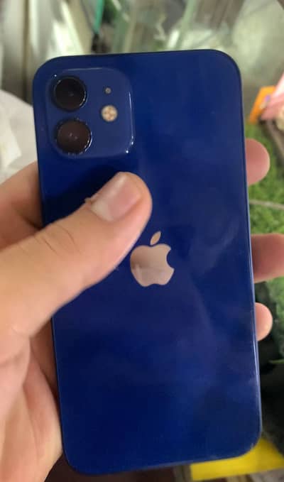 iPhone. 12 256gb pta approve  03024578450