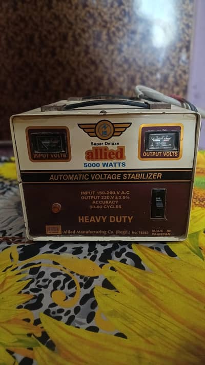 5000W Stabilizer