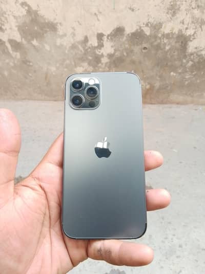 I phone 12 por