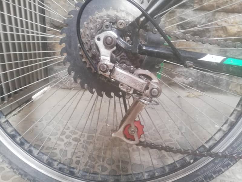 bicycle 2