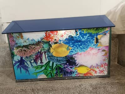 Aquarium for Sale