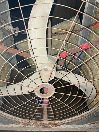 DC Air Cooler