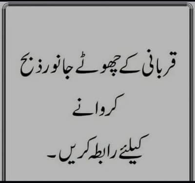 قصاب سروس