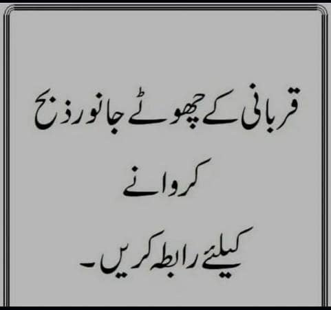 قصاب سروس 0