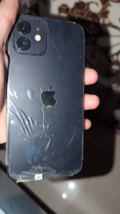 iPhone 12
