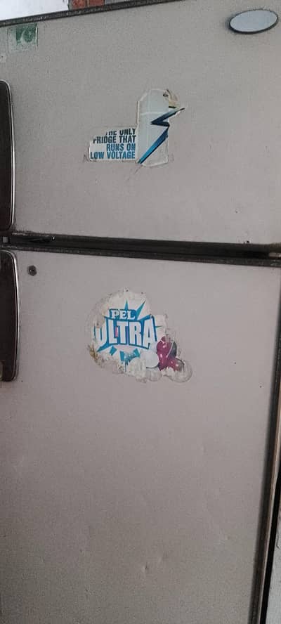 pel refrigerator