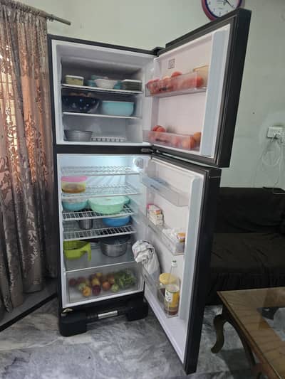 haier full size fridge