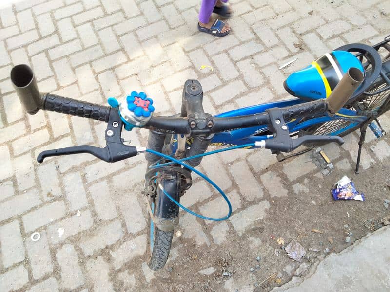 Bule cycle 3