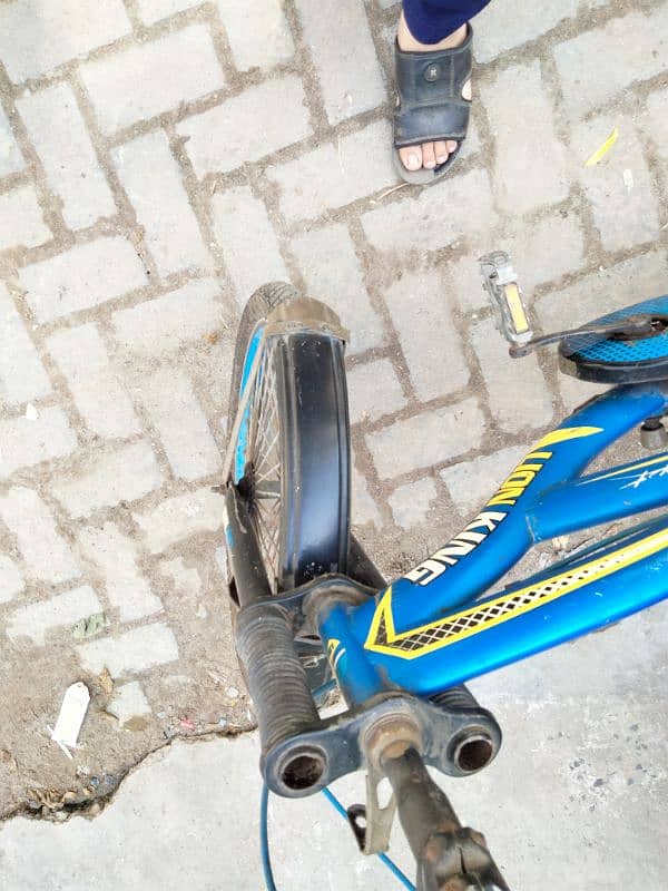 Bule cycle 4