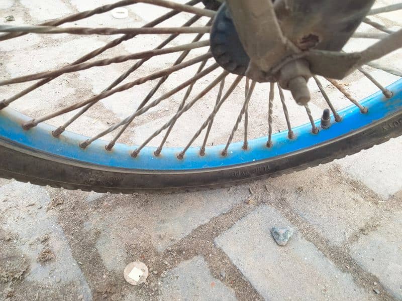 Bule cycle 5