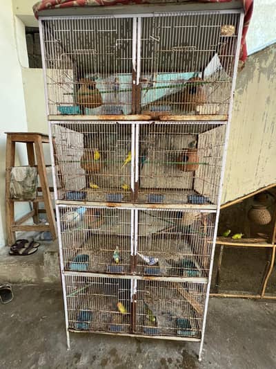 cage with pairs for sell