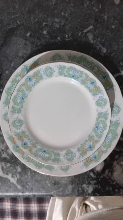 Beautiful New Design Dinner Set Plates