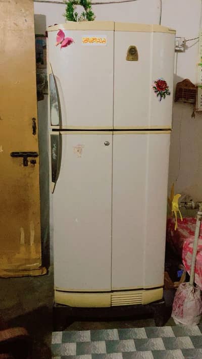 Pell medium size fridge