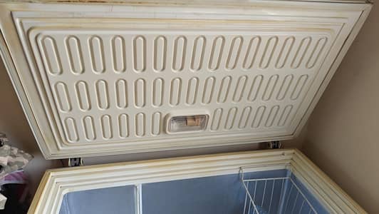 waves deep freezer