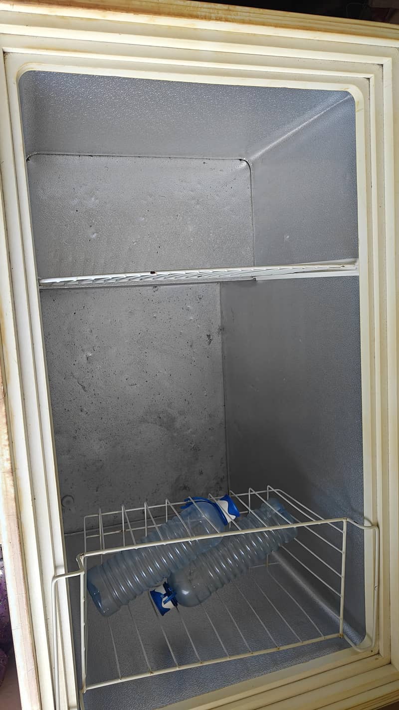 waves deep freezer 1