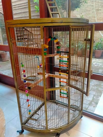 cage for big birds