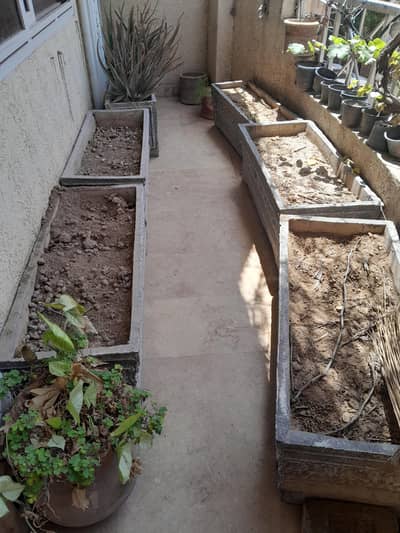 cement planters
