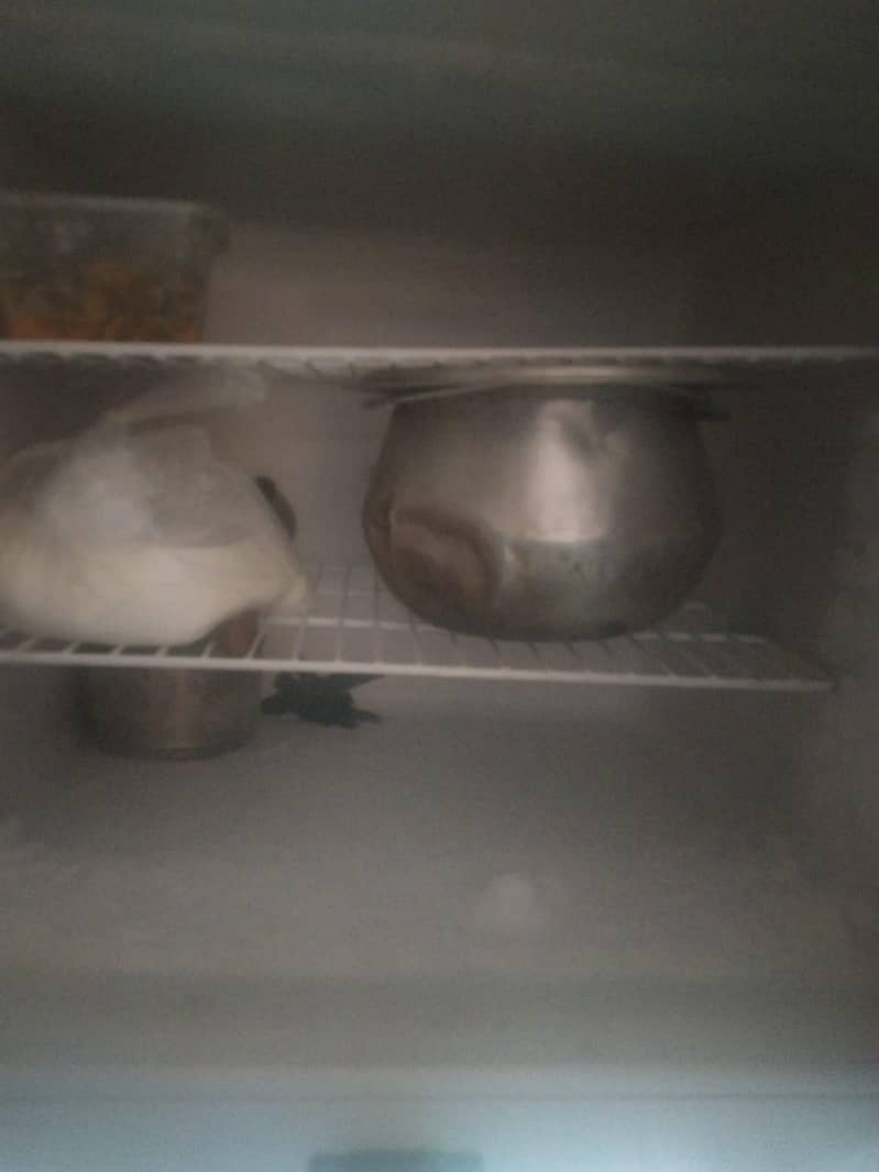 dwalance fridge 1