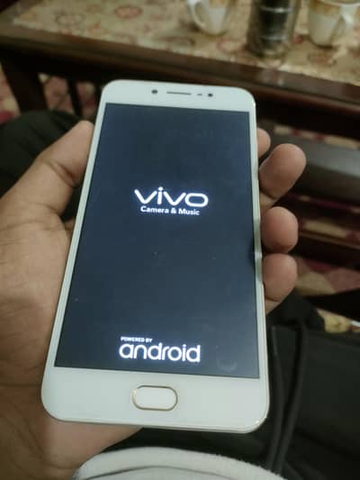 Vivio kit