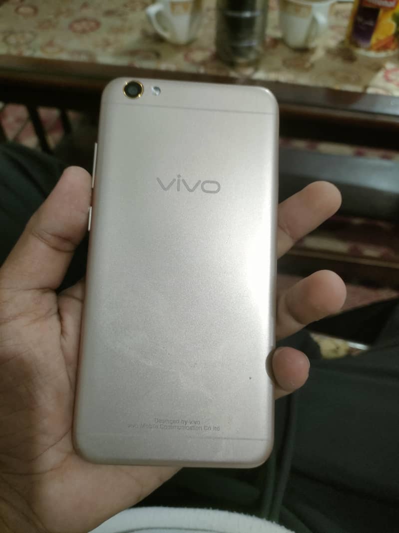 Vivio kit 2