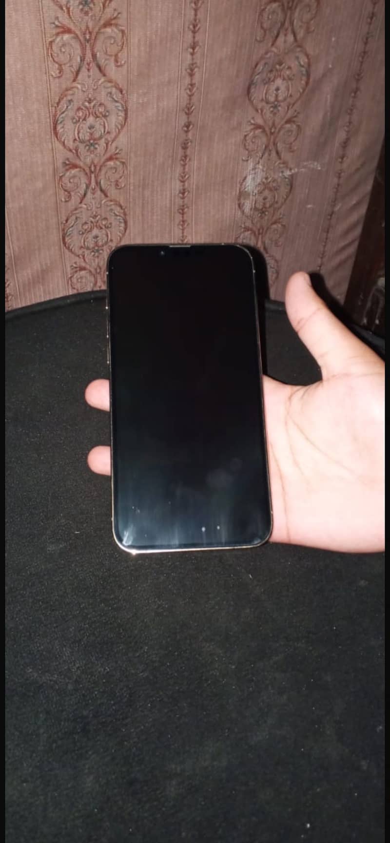 Apple iPhone 13 Pro Max 0