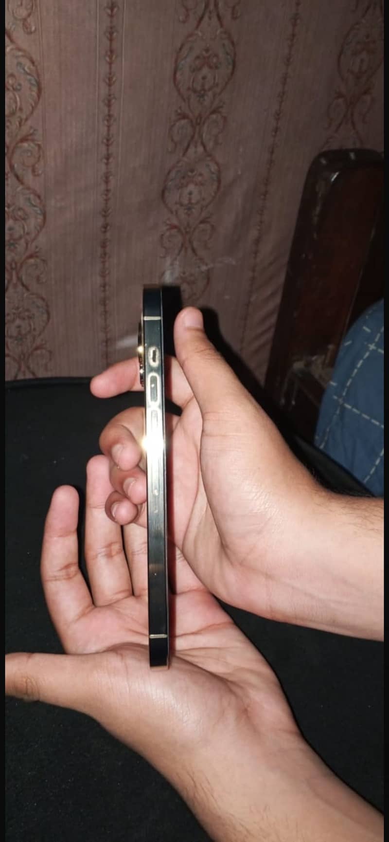 Apple iPhone 13 Pro Max 1