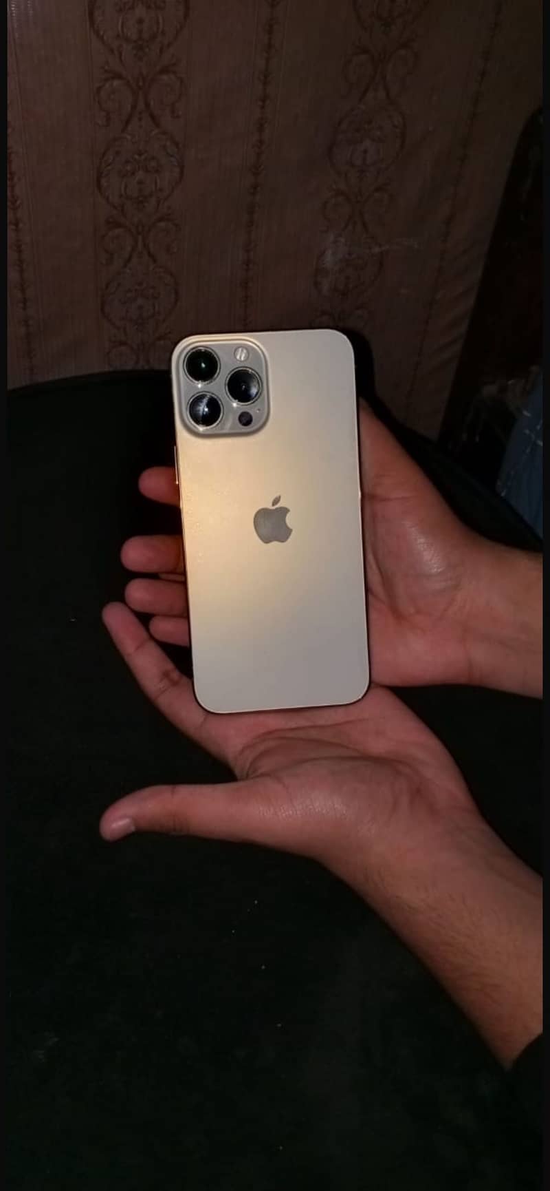 Apple iPhone 13 Pro Max 2