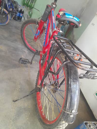 cycle 03005031793