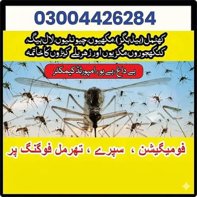 Deemak Control/pest control service/bedbugs spray/treatment