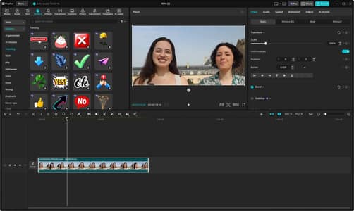 YouTube Shorts & Long Video Editing service