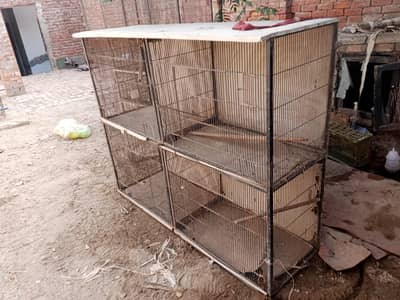 pinjray for sale