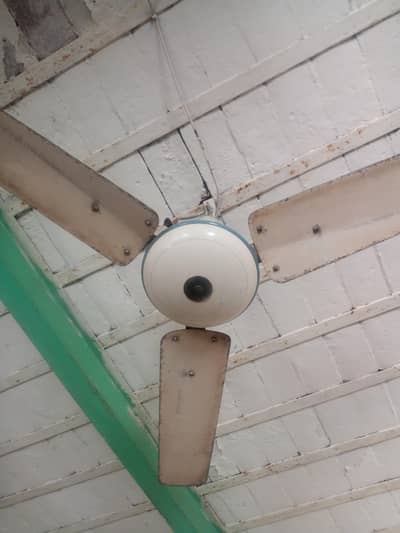 house fan 240w