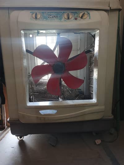 Air Cooler