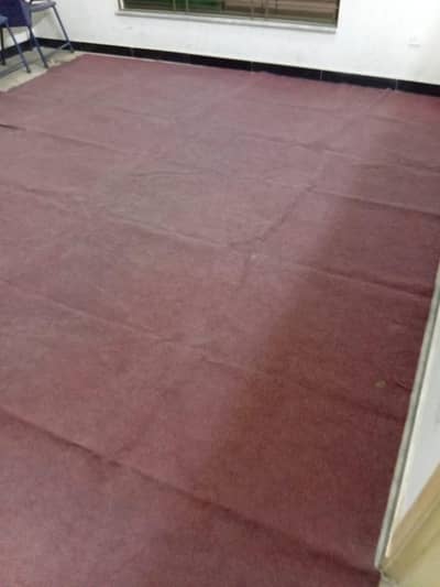 Carpet