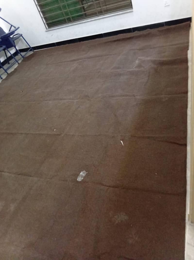 Carpet 2