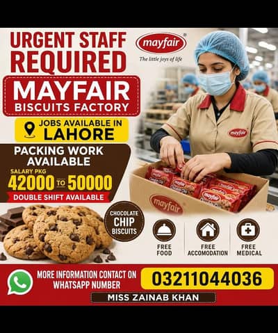 job ki talash