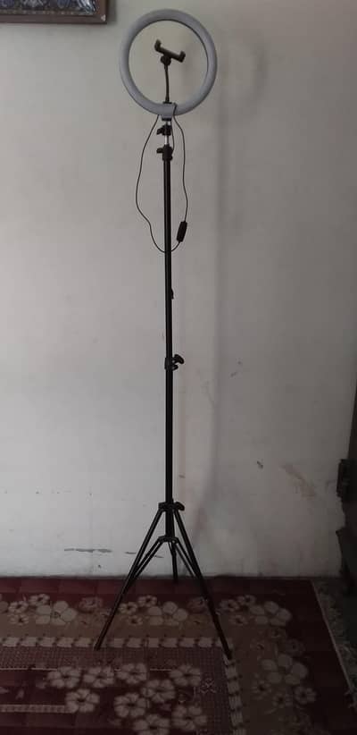 Ring light or tripods&stands