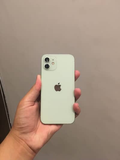 iPhone 12 PTA dual