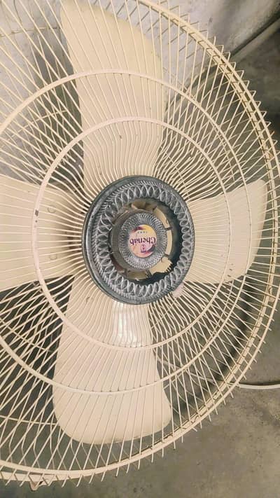 Chenab fan 24"