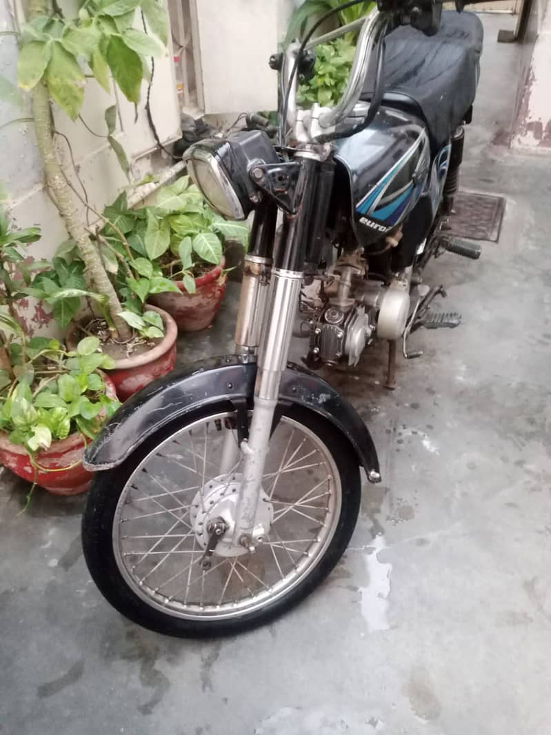 Bionic 2019 0