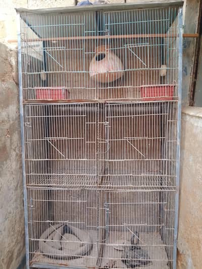 Bird Cage for Sale – Strong & Spacious