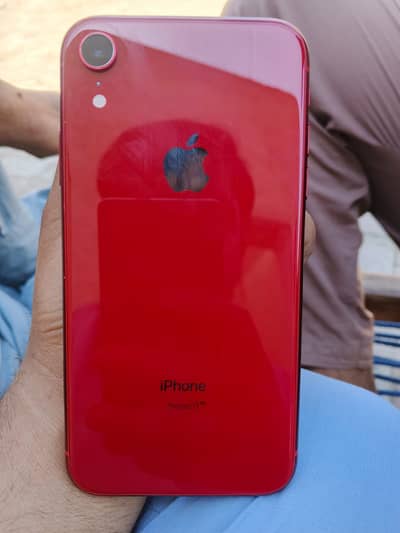 iPhone XR 10/10