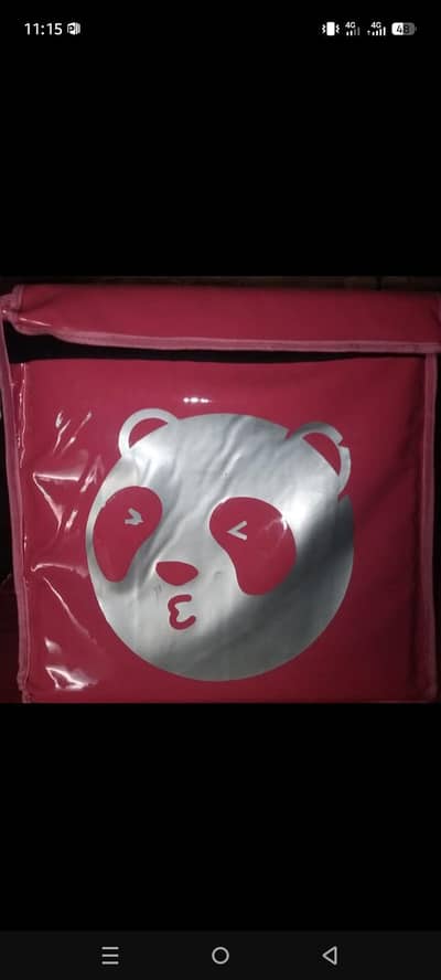 Delivery bags new