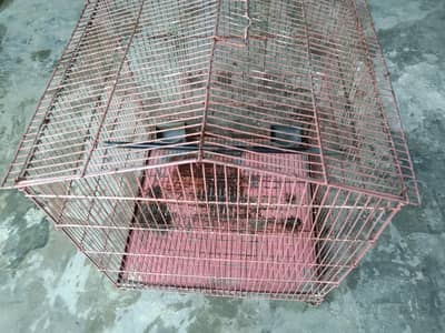 Bird cage