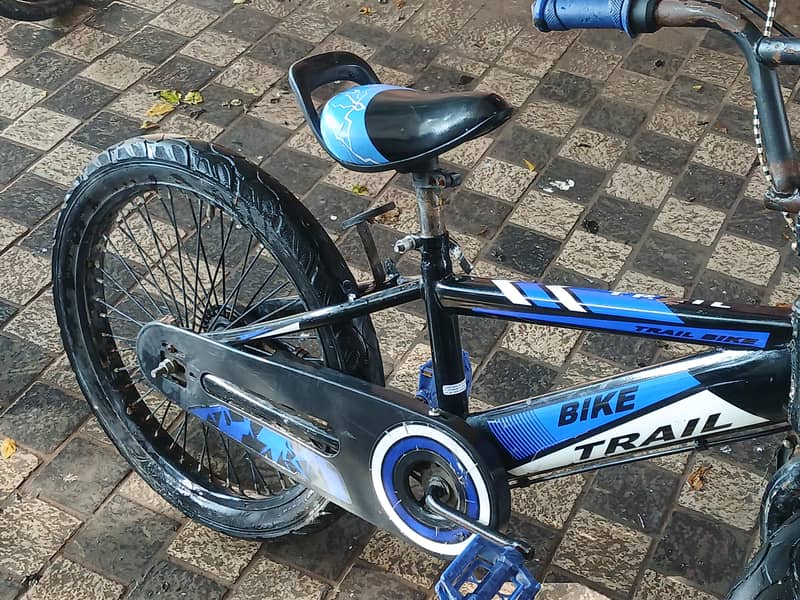 blue cycle size 20 0