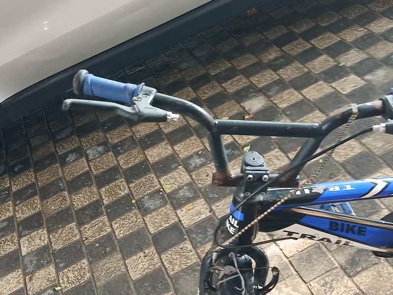 blue cycle size 20 2